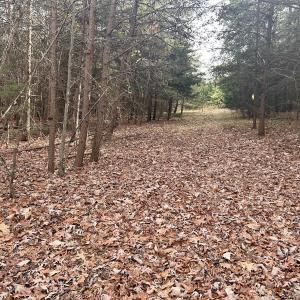 Photo #65 of SOLD property in Off Wheeler Rd, Lynchburg, VA 82.2 acres