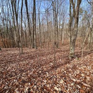 Photo #66 of SOLD property in Off Wheeler Rd, Lynchburg, VA 82.2 acres
