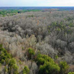 Photo #67 of SOLD property in Off Wheeler Rd, Lynchburg, VA 82.2 acres