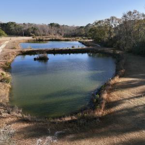 Photo #15 of SOLD property in 03 Smaw Road, washington , NC 18.0 acres