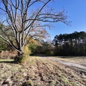 Photo #16 of SOLD property in 03 Smaw Road, washington , NC 18.0 acres