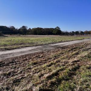 Photo #17 of SOLD property in 03 Smaw Road, washington , NC 18.0 acres