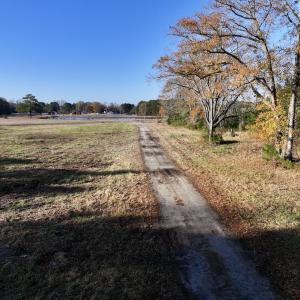 Photo #18 of SOLD property in 03 Smaw Road, washington , NC 18.0 acres