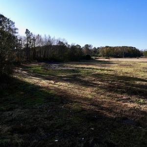 Photo #19 of SOLD property in 03 Smaw Road, washington , NC 18.0 acres