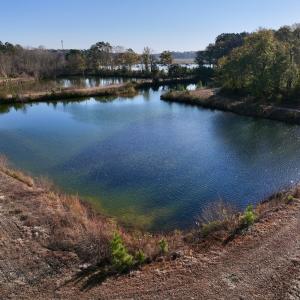 Photo #20 of SOLD property in 03 Smaw Road, washington , NC 18.0 acres
