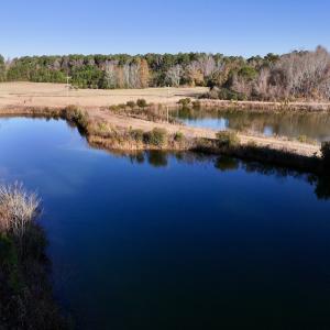 Photo #21 of SOLD property in 03 Smaw Road, washington , NC 18.0 acres