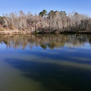 Photo #22 of SOLD property in 03 Smaw Road, washington , NC 18.0 acres