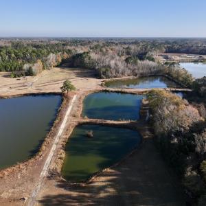 Photo #1 of SOLD property in 03 Smaw Road, washington , NC 18.0 acres