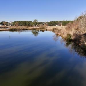 Photo #23 of SOLD property in 03 Smaw Road, washington , NC 18.0 acres