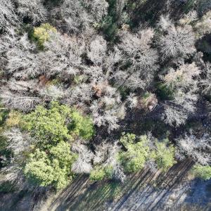 Photo #25 of SOLD property in 03 Smaw Road, washington , NC 18.0 acres