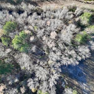 Photo #26 of SOLD property in 03 Smaw Road, washington , NC 18.0 acres