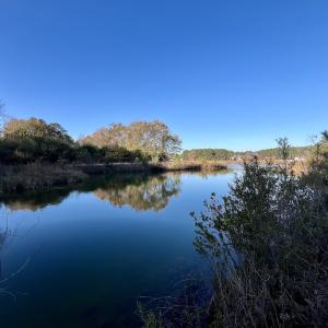 Photo #28 of SOLD property in 03 Smaw Road, washington , NC 18.0 acres