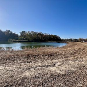 Photo #7 of SOLD property in 03 Smaw Road, washington , NC 18.0 acres
