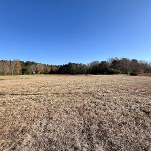 Photo #8 of SOLD property in 03 Smaw Road, washington , NC 18.0 acres