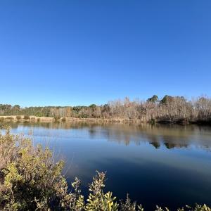 Photo #35 of Off Smaw Road, Washington , NC 35.1 acres