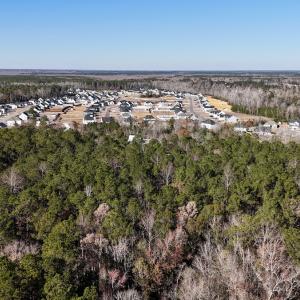 Photo #16 of SOLD property in Off Wo Johnston Ave , Rocky Point, NC 12.0 acres