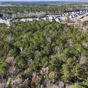 Photo #17 of SOLD property in Off Wo Johnston Ave , Rocky Point, NC 12.0 acres