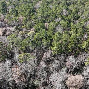 Photo #19 of SOLD property in Off Wo Johnston Ave , Rocky Point, NC 12.0 acres