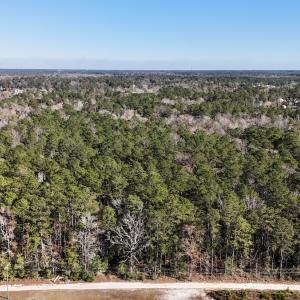 Photo #1 of SOLD property in Off Wo Johnston Ave , Rocky Point, NC 12.0 acres
