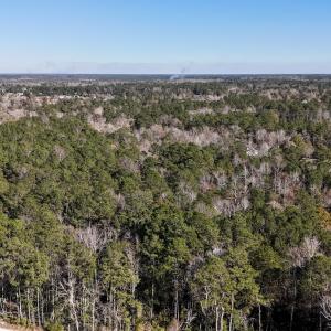 Photo #2 of SOLD property in Off Wo Johnston Ave , Rocky Point, NC 12.0 acres