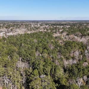 Photo #3 of SOLD property in Off Wo Johnston Ave , Rocky Point, NC 12.0 acres
