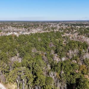 Photo #4 of SOLD property in Off Wo Johnston Ave , Rocky Point, NC 12.0 acres