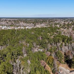 Photo #5 of SOLD property in Off Wo Johnston Ave , Rocky Point, NC 12.0 acres