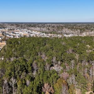 Photo #6 of SOLD property in Off Wo Johnston Ave , Rocky Point, NC 12.0 acres