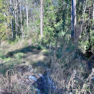 Photo #7 of SOLD property in Off Wo Johnston Ave , Rocky Point, NC 12.0 acres