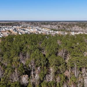 Photo #10 of SOLD property in Off Wo Johnston Ave , Rocky Point, NC 12.0 acres