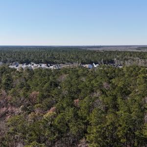 Photo #21 of SOLD property in Off Wo Johnston Ave , Rocky Point, NC 12.0 acres