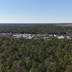 Photo #24 of SOLD property in Off Wo Johnston Ave , Rocky Point, NC 12.0 acres