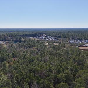 Photo #26 of SOLD property in Off Wo Johnston Ave , Rocky Point, NC 12.0 acres
