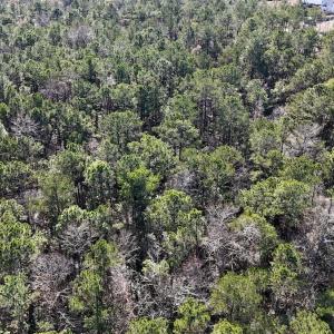 Photo #27 of SOLD property in Off Wo Johnston Ave , Rocky Point, NC 12.0 acres