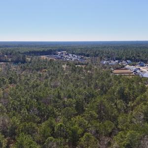 Photo #28 of SOLD property in Off Wo Johnston Ave , Rocky Point, NC 12.0 acres