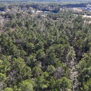 Photo #30 of SOLD property in Off Wo Johnston Ave , Rocky Point, NC 12.0 acres