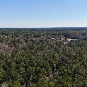 Photo #31 of SOLD property in Off Wo Johnston Ave , Rocky Point, NC 12.0 acres