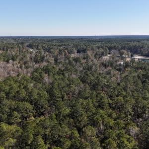 Photo #32 of SOLD property in Off Wo Johnston Ave , Rocky Point, NC 12.0 acres