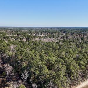 Photo #33 of SOLD property in Off Wo Johnston Ave , Rocky Point, NC 12.0 acres