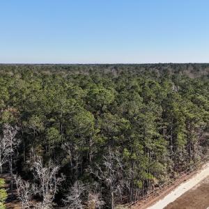 Photo #35 of SOLD property in Off Wo Johnston Ave , Rocky Point, NC 12.0 acres