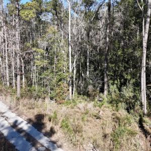 Photo #37 of SOLD property in Off Wo Johnston Ave , Rocky Point, NC 12.0 acres