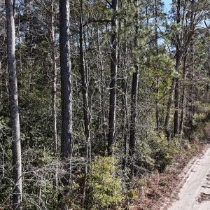Photo #43 of SOLD property in Off Wo Johnston Ave , Rocky Point, NC 12.0 acres