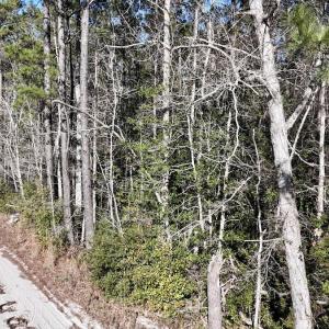 Photo #44 of SOLD property in Off Wo Johnston Ave , Rocky Point, NC 12.0 acres