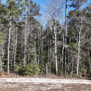 Photo #45 of SOLD property in Off Wo Johnston Ave , Rocky Point, NC 12.0 acres