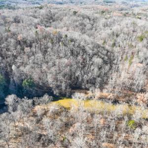 Photo #10 of SOLD property in Off Seven Island Road, Danbury, NC 27.6 acres