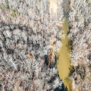 Photo #11 of SOLD property in Off Seven Island Road, Danbury, NC 27.6 acres