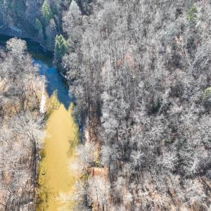 Photo #12 of SOLD property in Off Seven Island Road, Danbury, NC 27.6 acres