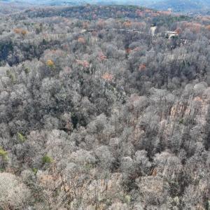 Photo #15 of SOLD property in Off Seven Island Road, Danbury, NC 27.6 acres