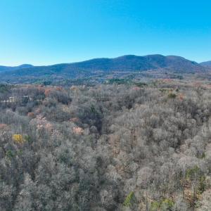 Photo #2 of SOLD property in Off Seven Island Road, Danbury, NC 27.6 acres