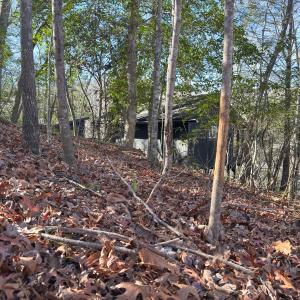 Photo #25 of SOLD property in Off Seven Island Road, Danbury, NC 27.6 acres